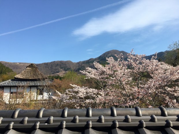 全館　臨時休業のお知らせ