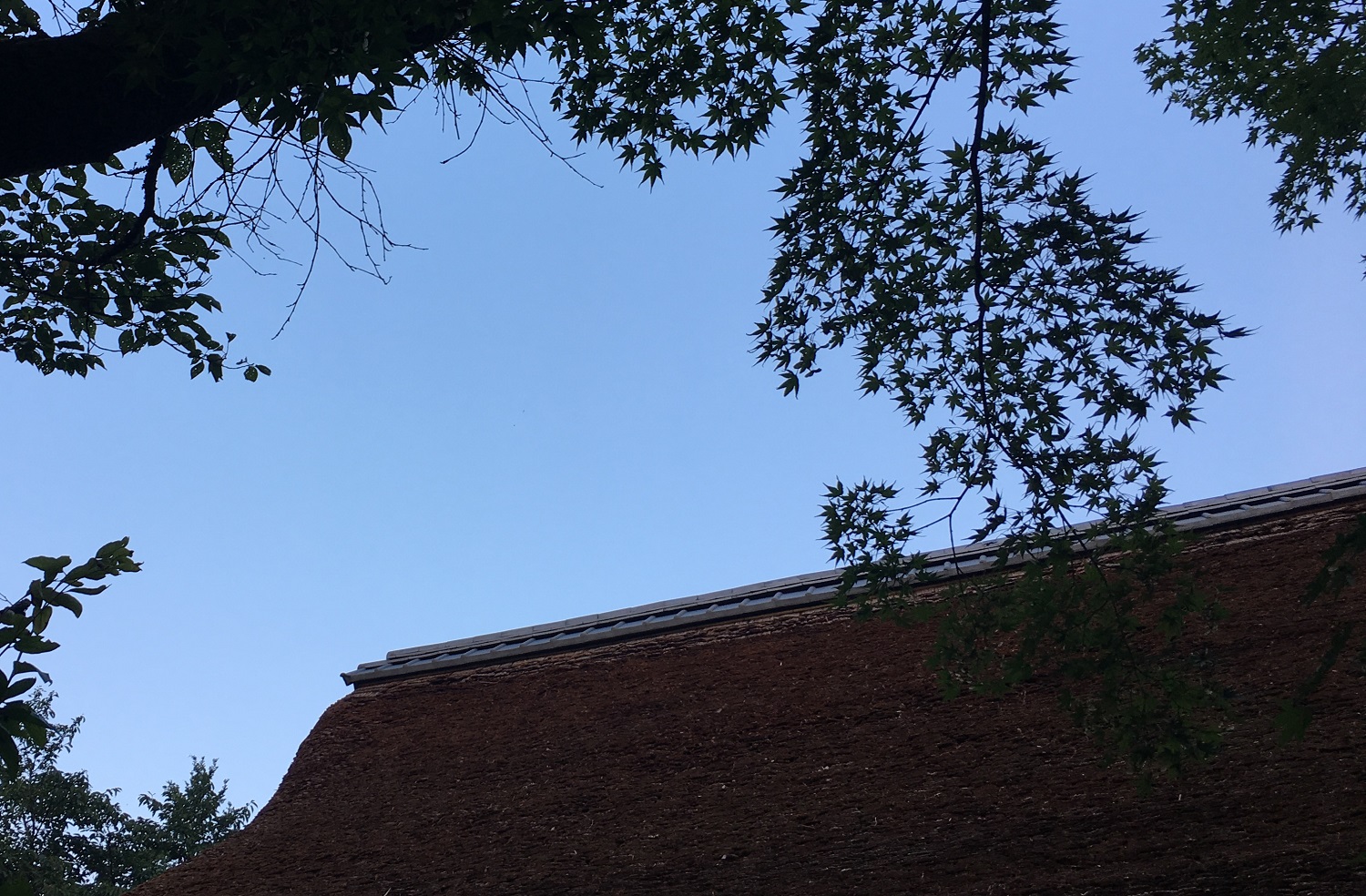 特別室 百番館 改修