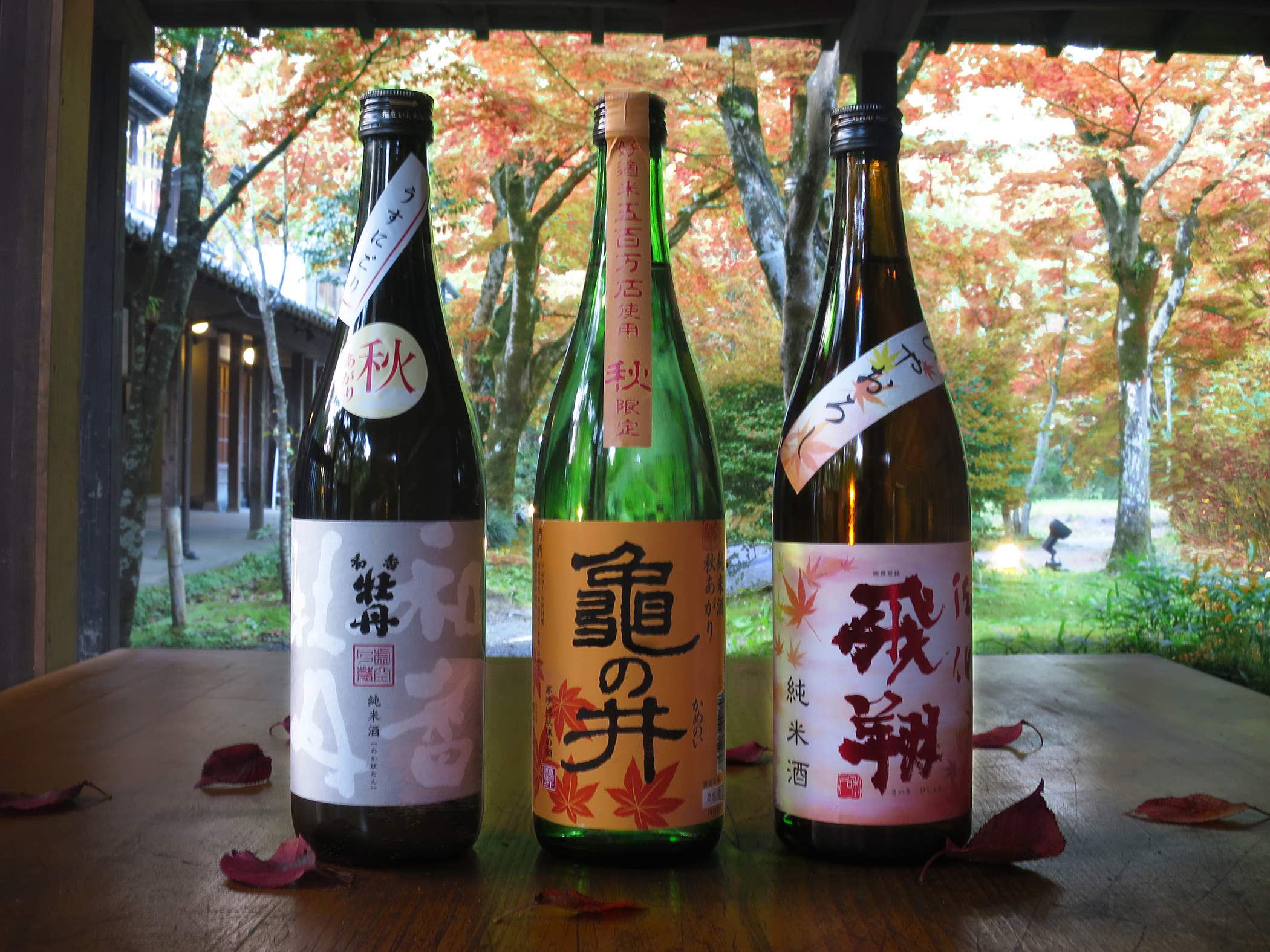 秋のお薦め 三種の地酒