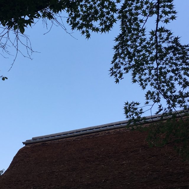 特別室 百番館 改修