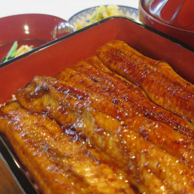 夏のお昼限定メニュー